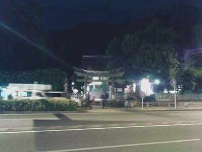 金沢八景瀬戸神社酉の市鳥居遠2012年