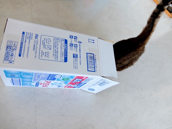 アリエール ジェルボール 48×2　1,648円也　コストコ　洗剤　洗濯　オキシ