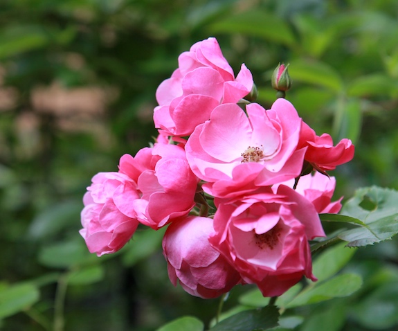 150517_11.jpg