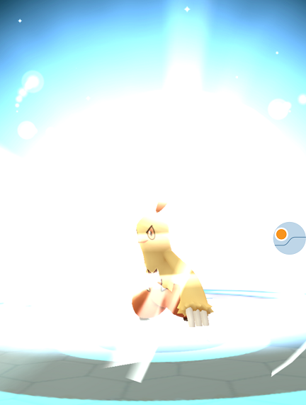 ポケモンgo アチャモ大量getだもらあぁぁ D マカロニgxのブログ ブタ小屋 楽天ブログ