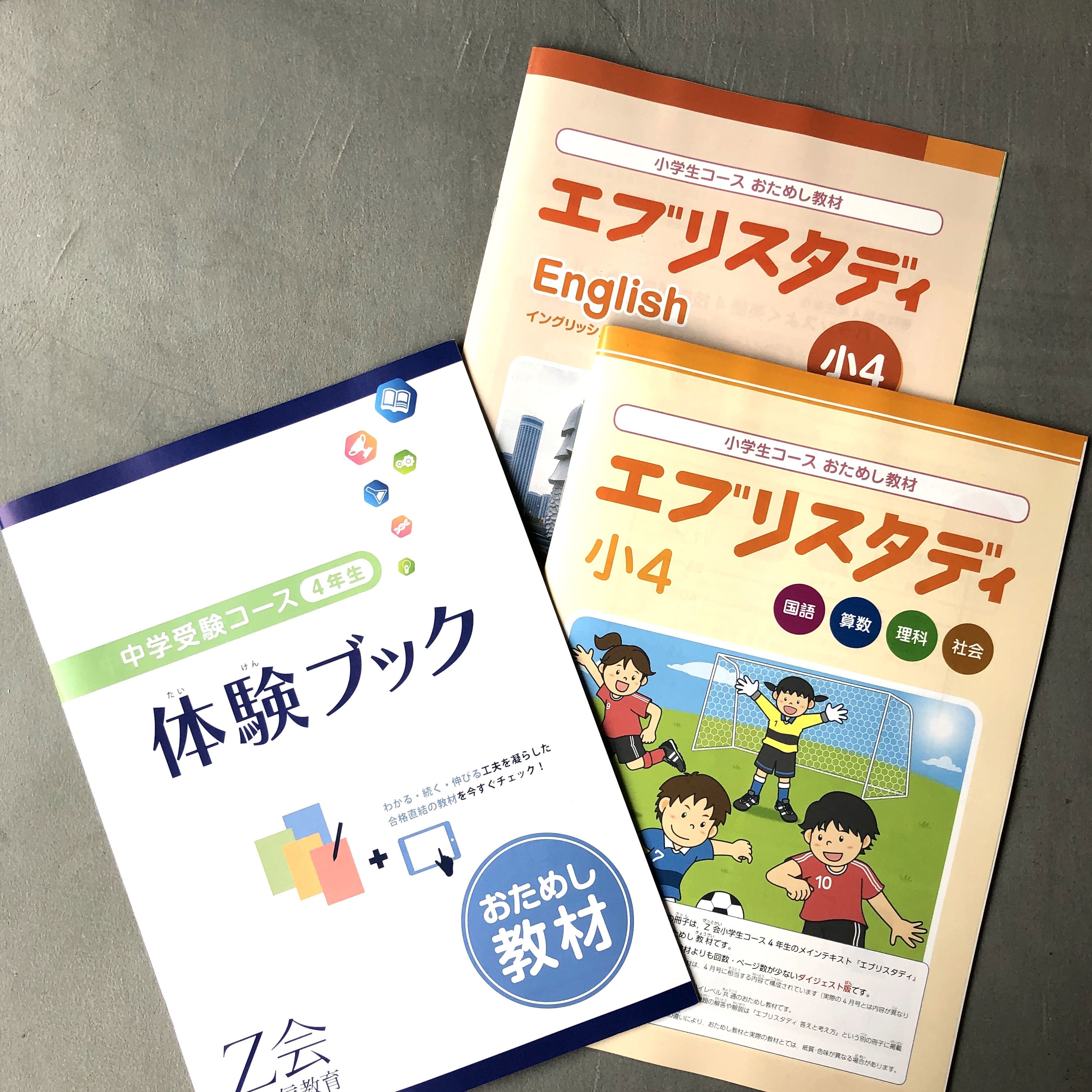 Z会 エブリスタディアドバンスト 小学4年生 国語-