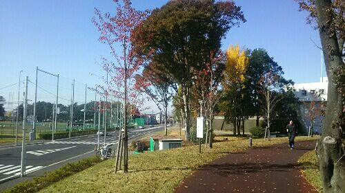 rblog-20171112001829-01.jpg