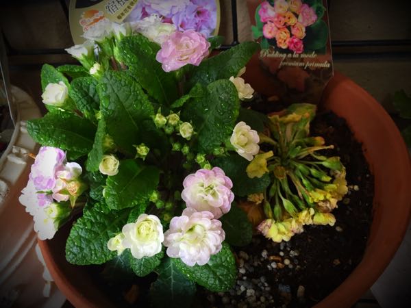 rblog-20160403105841-08.jpg