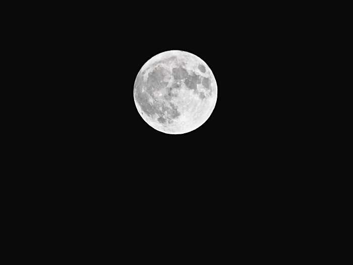十五夜の月小