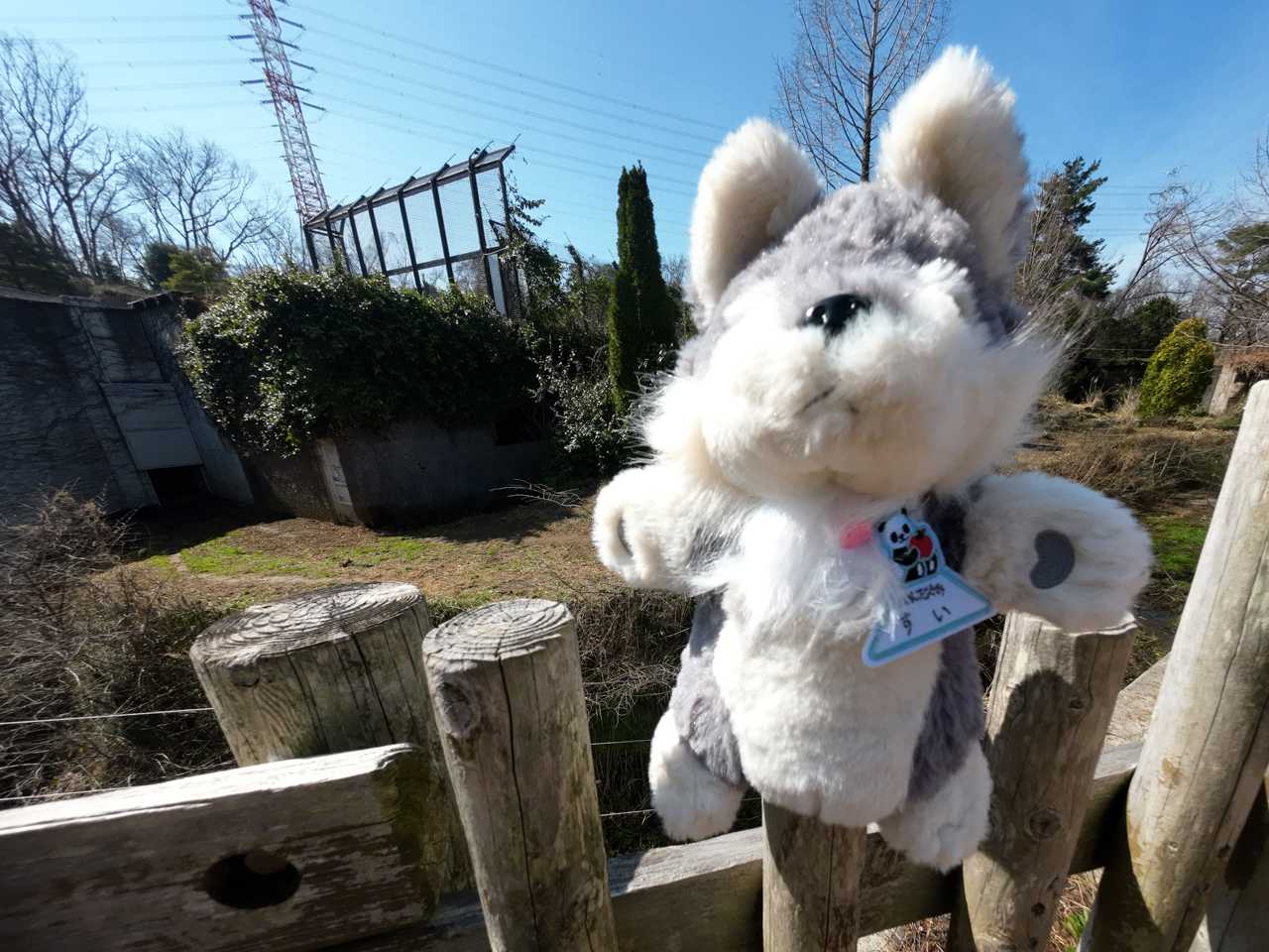 多摩動物公園で買ったパペットのオオカミに名札を付けたよ。 | イルカ