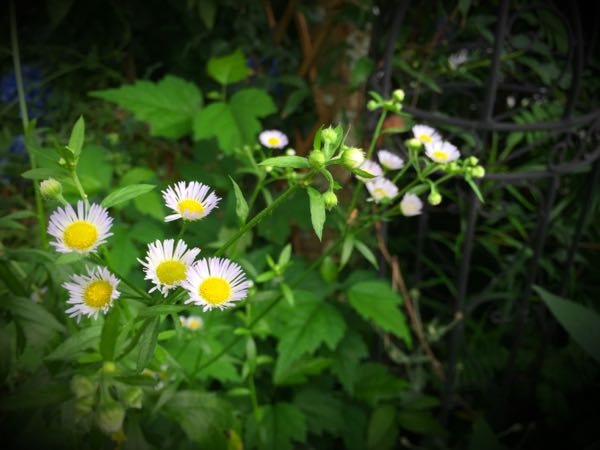 rblog-20160630184836-02.jpg