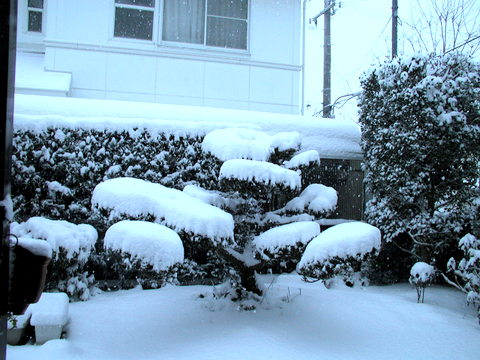 2005年の雪-2