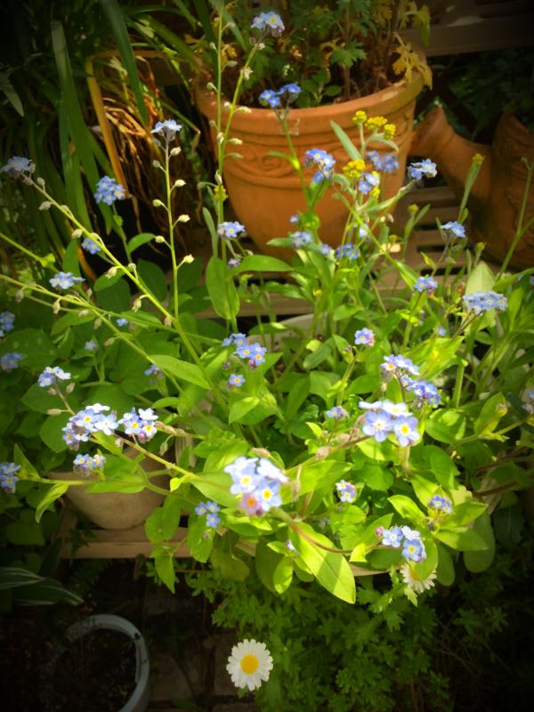 rblog-20150430204040-04.jpg