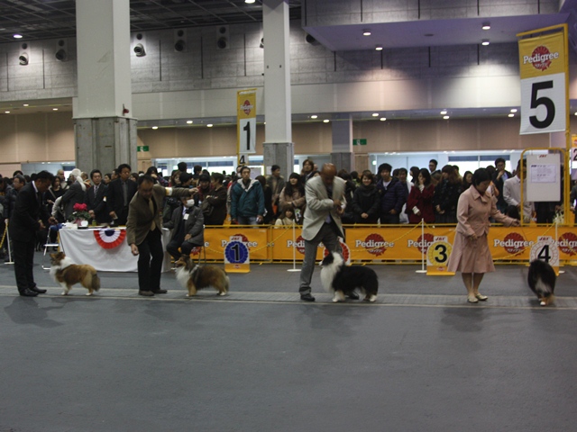 IMG_2458 - コピー.JPG