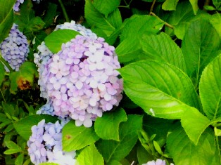 2012063009530000.jpg