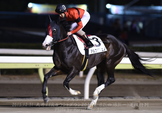 03Arcobaleno123115tck11R_05