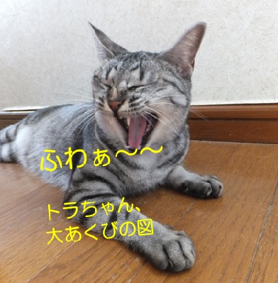20120918_2.jpg