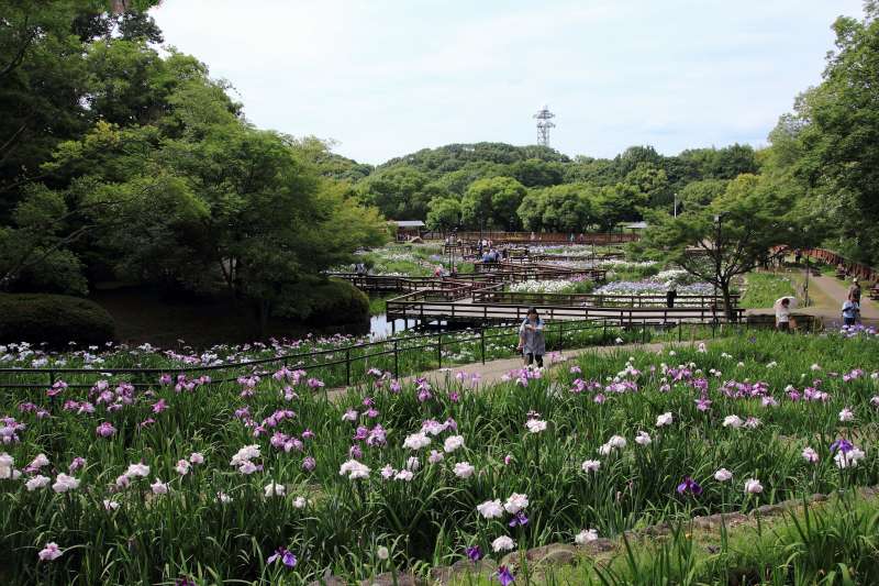 山田池公園_005.jpg