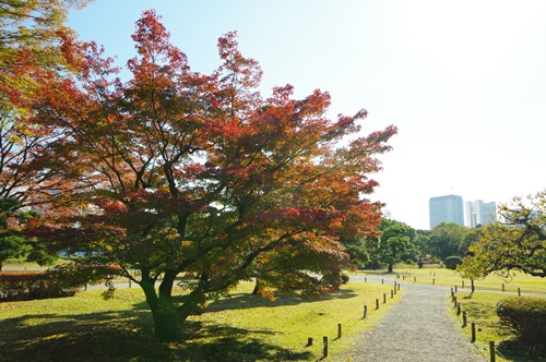 浜離宮恩賜庭園