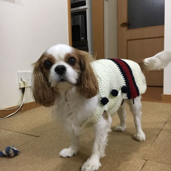 rblog-20170123200850-05.jpg