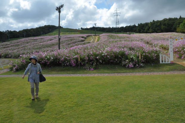 夢の平