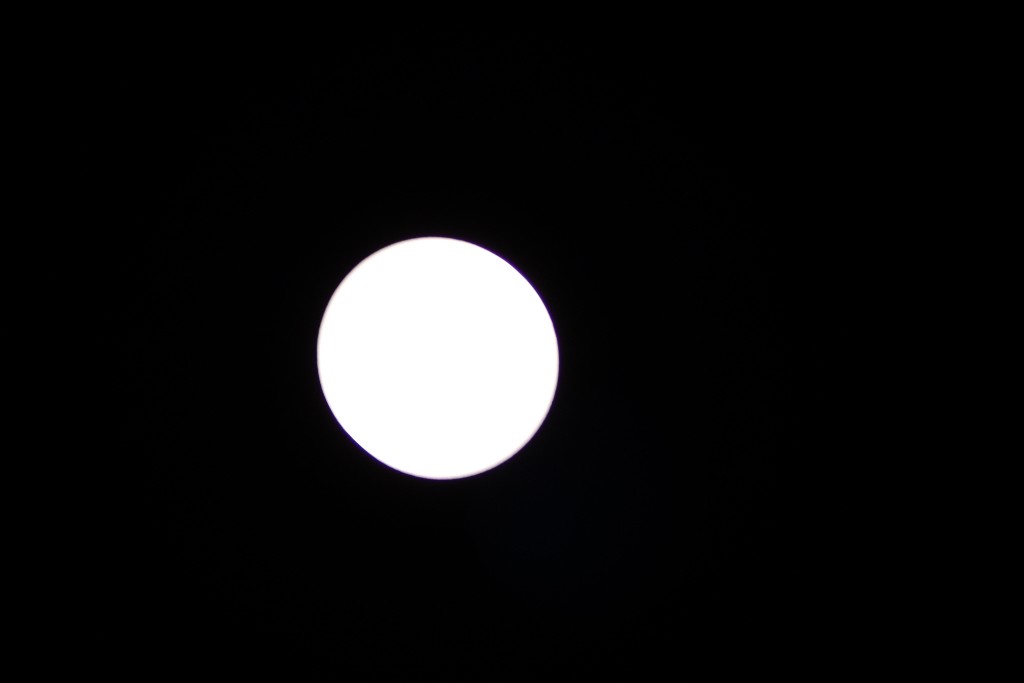 sun.JPG