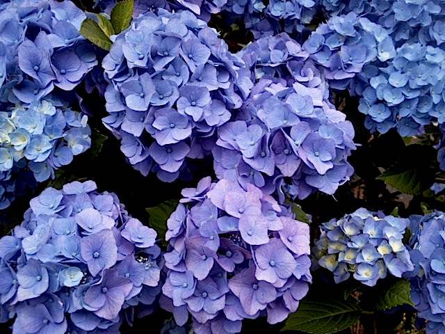 120611_164401.jpg