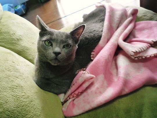 2014年11月15日_P1210094.jpg