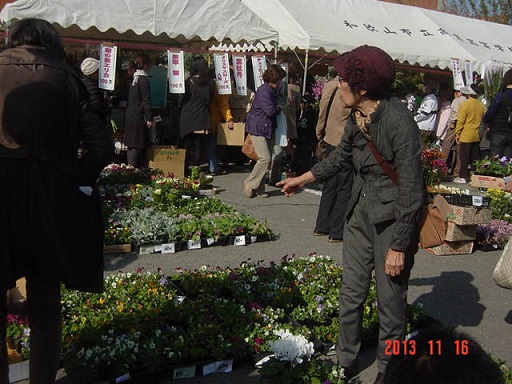 DSC01271.JPG