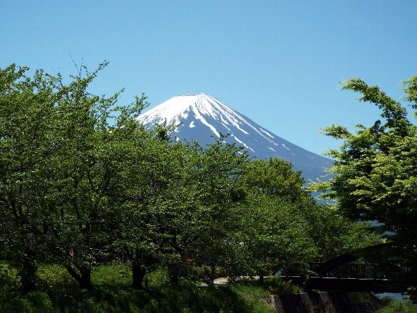 fuji-kawagutiko-1-b.jpg