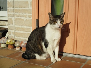 IMG_4825ss.jpg