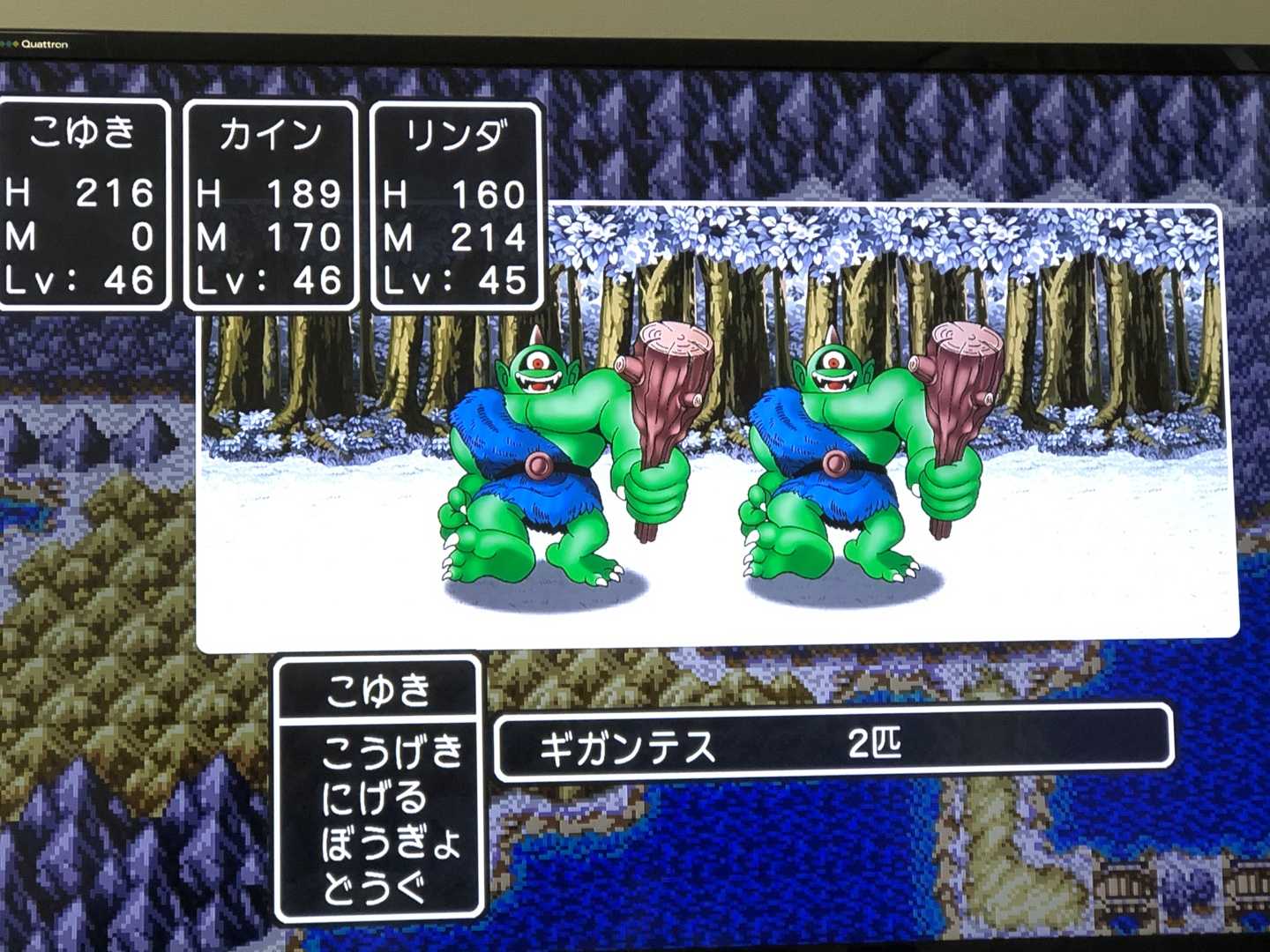 ドラゴンクエストii 完了 走り人のブログ 楽天ブログ