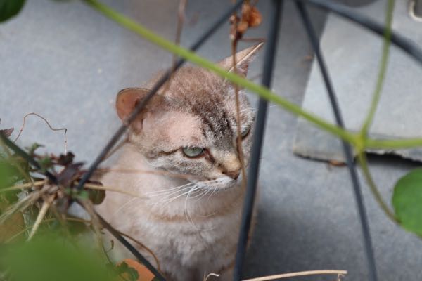 rblog-20180903005956-00.jpg