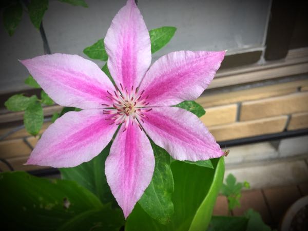 rblog-20160530190925-01.jpg