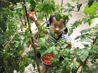 H25.7.22　まだまだあるよ♪