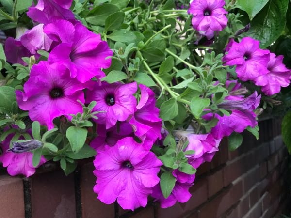 rblog-20180429182036-06.jpg