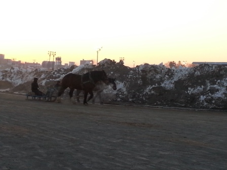 20160228_060838.jpg