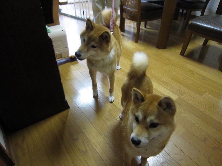 2013.10.1-3.JPG