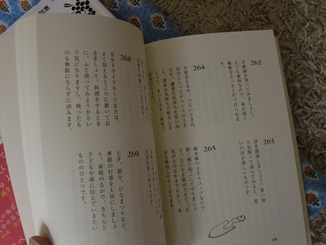 CIMG1703.JPG