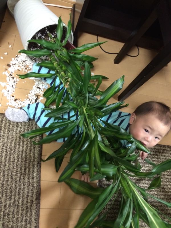 rblog-20150204234958-02.jpg