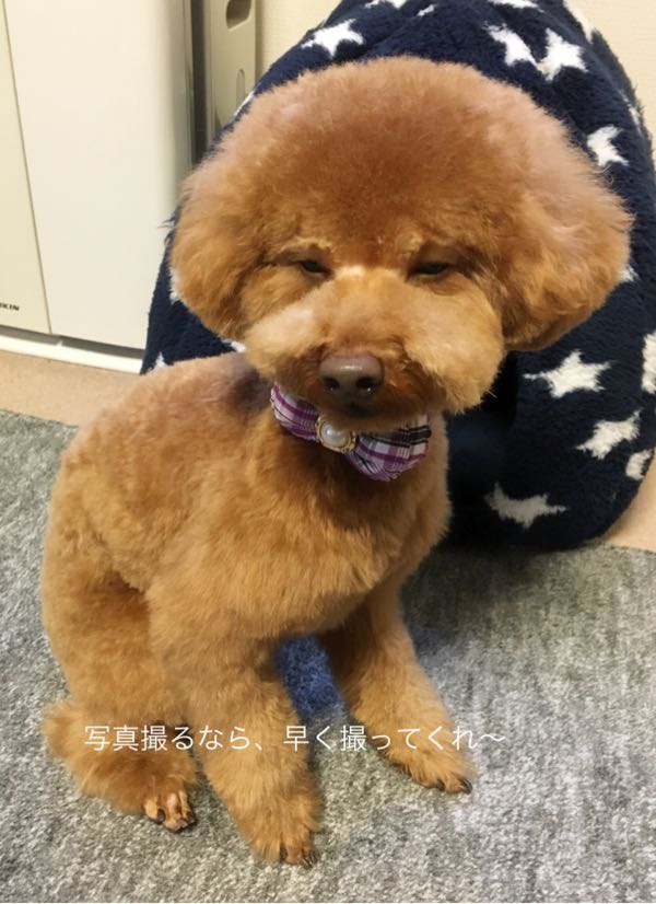 rblog-20180118160443-01.jpg