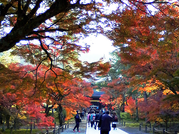 nanzenji-2-1