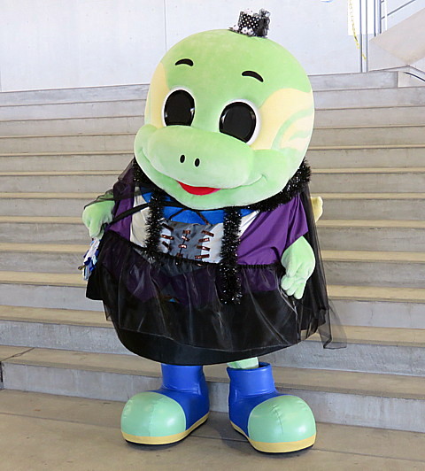 IMG_6267.jpg