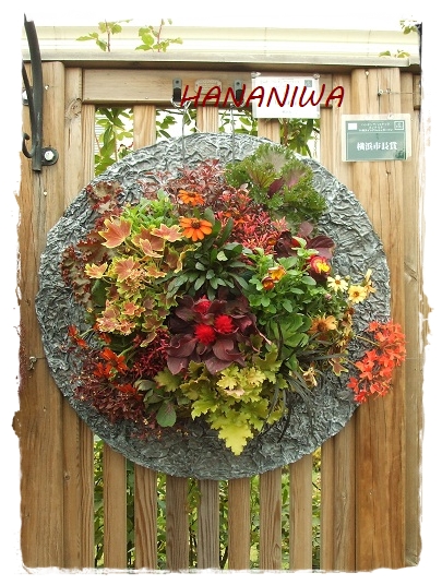 2012_1104トレッサ用寄せ植えとクレマチスの講座とカ0017.JPG