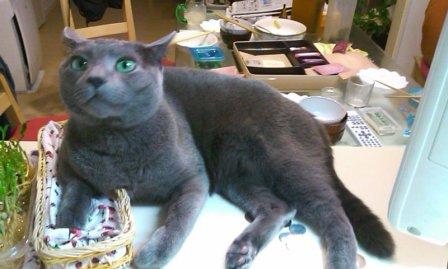 120209_2004~01.jpg