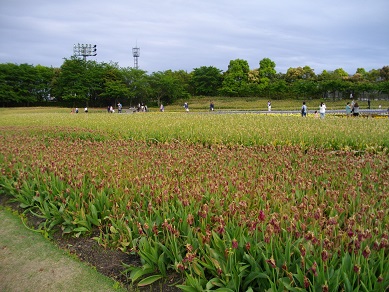なばなの里
