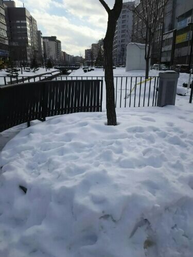 rblog-20171223084923-02.jpg