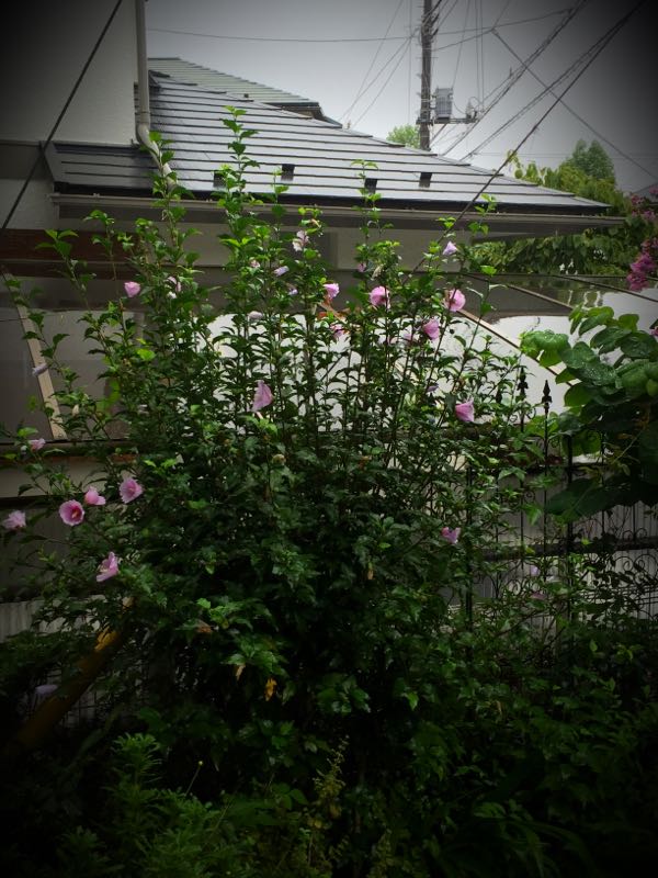 rblog-20150826083002-06.jpg