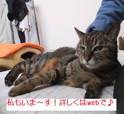 DSCF7302-1.jpg