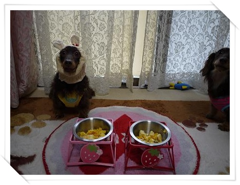 9.JPG
