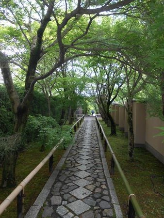 京都　鷹峯　光悦寺