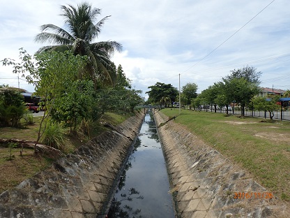 PB260160.JPG