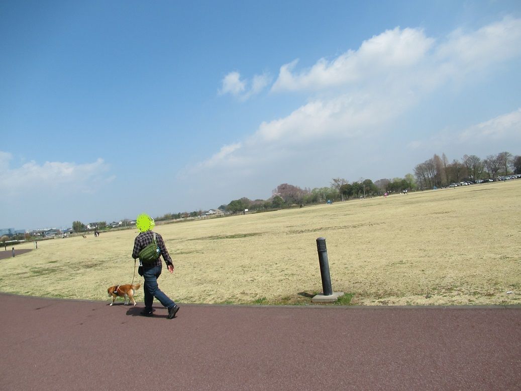 忍城 さきたま古墳公園 その2 今日のノッコさんと福ちゃん 楽天ブログ