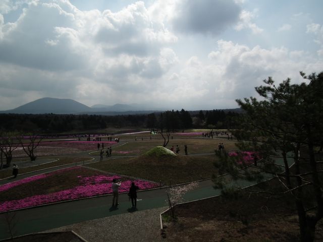 DSCF3810.JPG