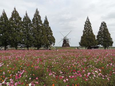 あけぼの山公園04